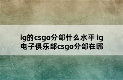 ig的csgo分部什么水平 ig电子俱乐部csgo分部在哪